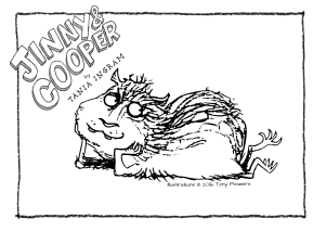 Colour Page - Cooper Reclining